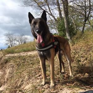 Meet your Posher, Nancy